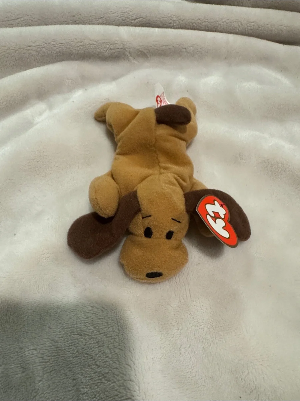 TY Teenie Beanie Baby Bone the hound dog